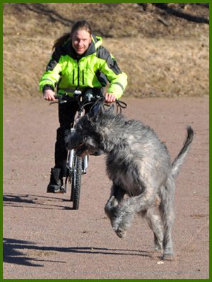 Iriz undrar om husse hänger med